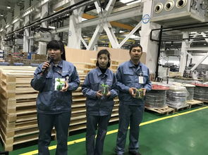 文化 當(dāng)環(huán)保意識與興趣diy相遇