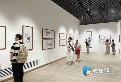 近百件藝術精品展現墨韻里的鄉愁 湘籍畫家蘇高宇作品展在長沙開幕